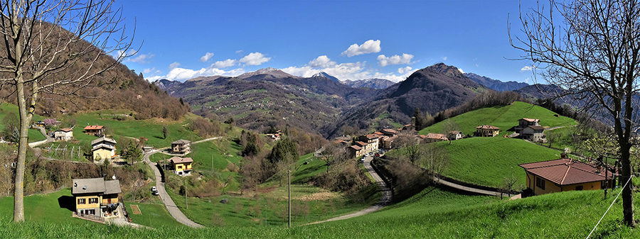 Festa di fiori da Alino al Molinasco- 25mar23