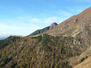 Vista verso il sentiero per Monte Campo -Tre Pizzi - Pietra Quadra