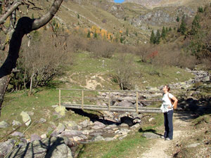 Ponticello sul torrente della Valle della Corte nei pressi del Rif. Alpe Corte - foto  Piero Gritti