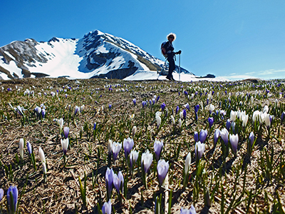 PIZZO ARERA (2512 m), primaverile con neve, il 15 maggio 2014 - FOTOGALLERY