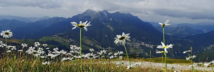 Al Piancansaccio in Alpe Arera con vista in Alben