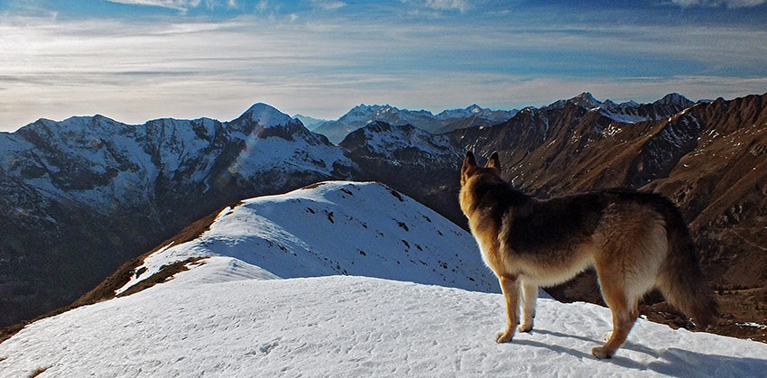 Salendo per pratoni al Monte Arete