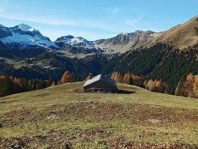 MONTE ARETE (2227 m.), sudato, ma comunque goduto, da Cambrembo di Valleve il 17 novembre 2012  - FOTOGALLERY