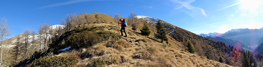 Salendo suripidi pascoli erbosi dalla Baita Nuova al Monte Arete