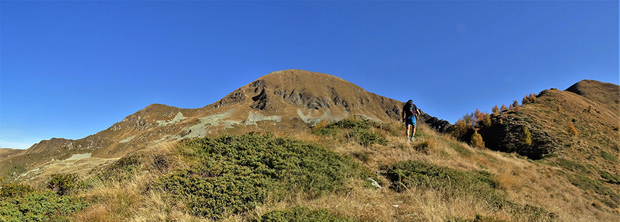 Salita di dosso in dosso verso cima Arete con vista in Valegino