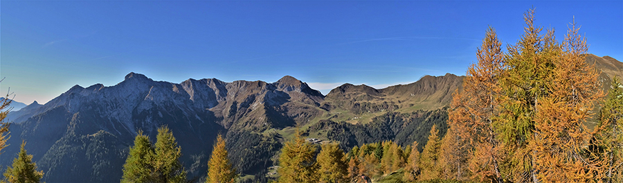 Splendidi larici colorati d'autunno salendo in Arete con vista verso San Simone-Baitsa del Camoscio