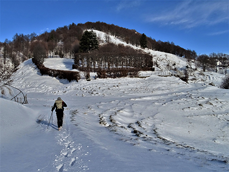 Sulle nevi dei Piani d’Artavaggio (1650 m) da Avolasio (1050 m) il 29 novembre 2021  - FOTOGALLERY