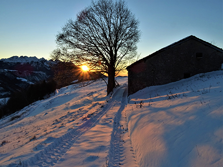 Sulle nevi dei Piani d’Artavaggio (1650 m) da Avolasio (1050 m) il 29 novembre 2021  - FOTOGALLERY