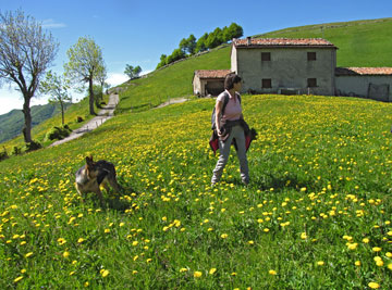 Facile, panoramica, bella escursione su strada sterrata da Avolasio ai Piani d’Artavaggio il 2 giugno 2010 - FOTOGALLERY