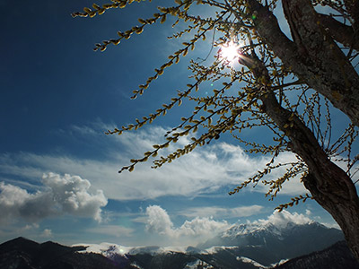 Salita primaverile sulla neve da Avolasio ( 1050 m.) alla SELLA (1450 m.) il 10 aprile 2013  - FOTOGALLERY