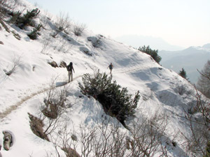 Sul sentiero DOL con vista verso il Resegone