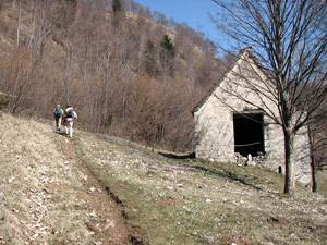 Il sentiero 150 si inoltra nel bosco