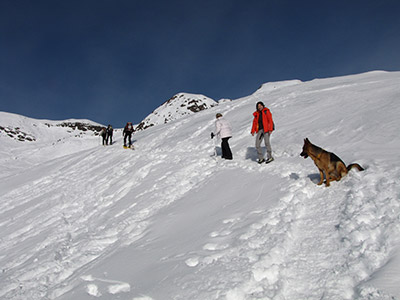 Salita invernale dai Piani al MONTE AVARO (2088 m.) il 24 gennaio 2009 - FOTOGALLERY