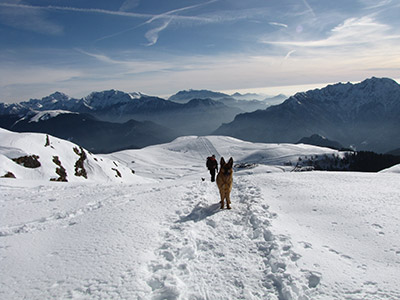 Salita invernale dai Piani al MONTE AVARO (2088 m.) il 24 gennaio 2009 - FOTOGALLERY