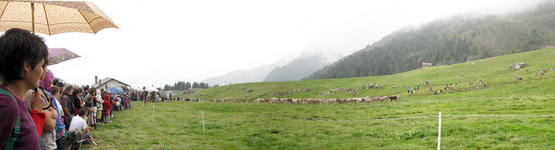 Piani dell'Avaro - 6° Campionato Cani Pastore in gara