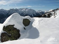 La neve annunciata dallo zigolo delle nevi...arrivata! - foto Piero Gritti 19 gennaio 2008