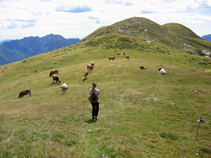 Cima del Monte Avaro (mt.2008)
