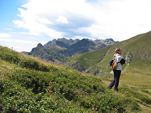 La cima del Monte Avaro ricoperti su un fianco di rododendri