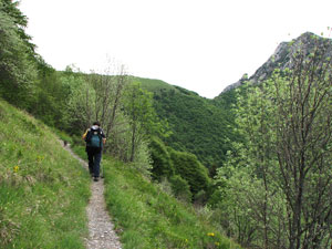 Il sentiero 153 esce dal bosco