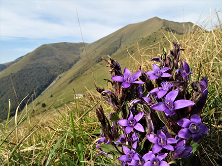 Anello autunnale Baciamorti – Aralalta – Sodadura da Capo Foppa il 30 settembre 2020 - FOTOGALLERY