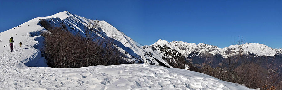 Secondo tratto in decisa salita in cresta panoramica su traccia nella neve dal Passo al Pizzo Baciamorti 