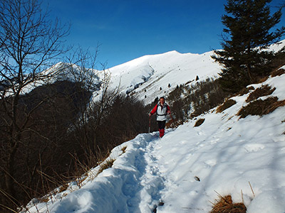 PIZZO BACIAMORTI (2009 m.) e MONTE ARALALTA (2003 m.) in solitaria invernale il 5 dicembre 2012 - FOTOGALLERY