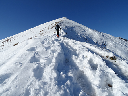 BACIAMORTI-ARALALTA, ammantati di neve, ad anello-8nov21 - FOTOGALLERY