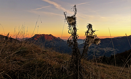 Pizzo Baciamorti e Monte Aralalta con giro ad anello da Capo Foppa di Pizzino l’8 dic. 2016 - FOTOGALLERY