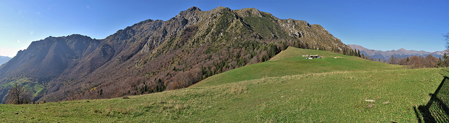 Pianoro pascolivo di Baita Campo (1442 m) 