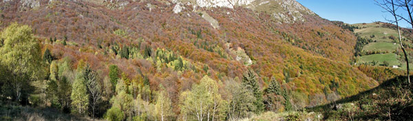 Le pendici del Venturosa colorate d'autunno - foto Piero Gritti 19 ott.07