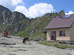 Martino, aiuto-rifugista, con i suoi cania al Rifugio Benigni