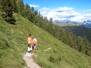 Il sentiero in basso si inoltra nel bosco 