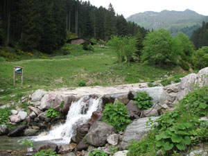 Foreste di Lombardia - Foresta Azzaredo Cas�