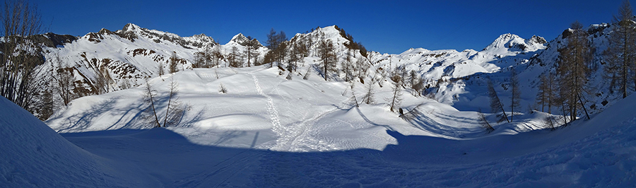 Salendo nella neve dalla diga di Fregabolgia al Rif. Calvi tra larici pendenti