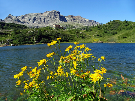 Grande anello dei Laghi della conca del Calvi-26lu23 - FOTOGALLERY