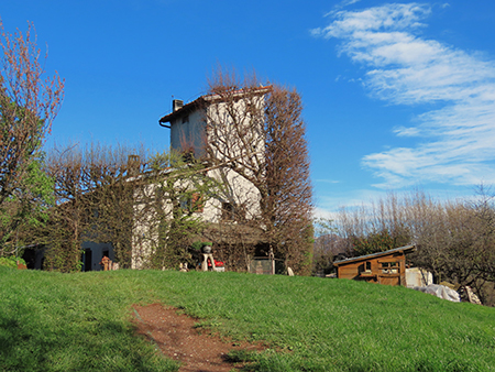 In Canto Alto da Cler di Sedrina-2apr24  - FOTOGALLERY