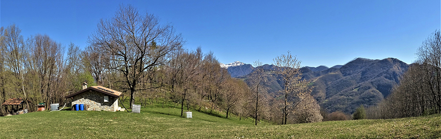 Baita e roccolo di Colle Pradali (850 m)