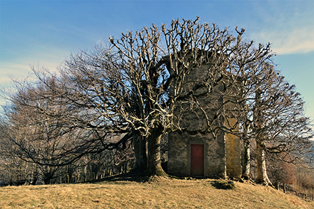 CASTEL REGINA (1424 m) e PIZZO CERRO ( 1285 m) ad anello da Catremerio l’11 gennaio 2019 - FOTOGALLERY