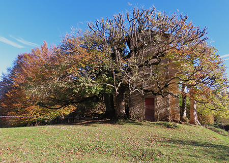 Roccoli del Crosnello-verso Castel Regina-Pizzo Cerro da Catremerio-8nov23  - FOTOGALLERY