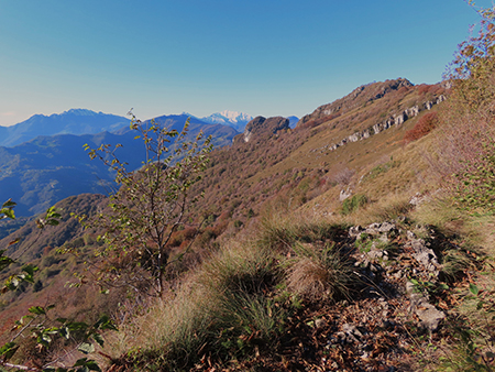 Roccoli del Crosnello-verso Castel Regina-Pizzo Cerro da Catremerio-8nov23  - FOTOGALLERY