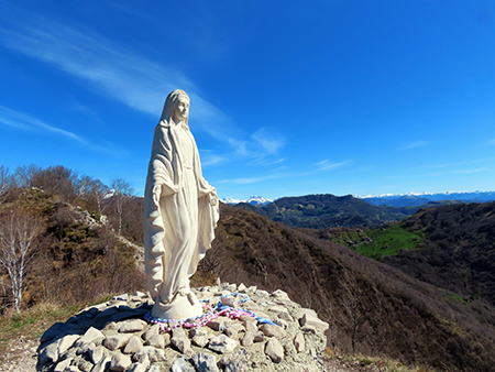 Alla Madonnina del Costone (1195 m) da Salmezza con tanti fiori-25mar24-FOTOGALLERY