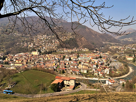 Sentieri fioriti sopra casa ad anello-Zogno-28mar22 - FOTOGALLERY