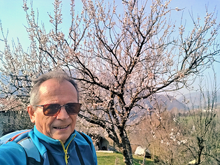 Sentieri fioriti sopra casa ad anello-Zogno-28mar22 - FOTOGALLERY