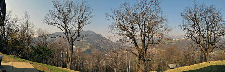 Alla Ca' del Tort (550 m) maestosi secolari castagni