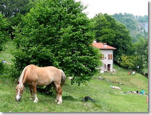 'I Foppi' col Rifugio Zucco, luogo ideale per escursioni in montagna a bassa quota.