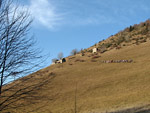 Da Quindicina la comitiva dei giovani di Alme' sale i prati del Cuel verso il Rifugio Gherardi - foto Piero Gritti 30 dic. 2006