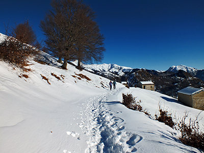 In solitaria invernale sul Sodadura da Avolasio-Piani d’Artavaggio il 1 febbraio 2015 - FOTOGALLERY