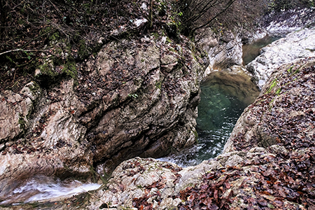 Alla ‘Madunina del Giong’ e ai Prati Parini ad anello da Botta di Sedrina il 12 nov. 2016 - FOTOGALLERY