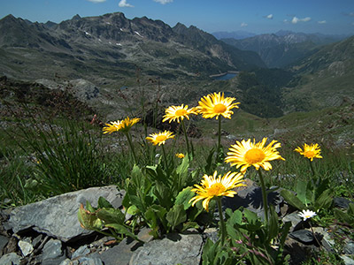 Camminata panoramica ad anello al PASSO DI GRABIASCA, sul MONTE RESEDA e per passi e laghi della conca del Calvi il 26 luglio 2012 - FOTOGALLERY