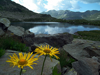 Camminata panoramica ad anello al PASSO DI GRABIASCA, sul MONTE RESEDA e per passi e laghi della conca del Calvi il 26 luglio 2012 - FOTOGALLERY